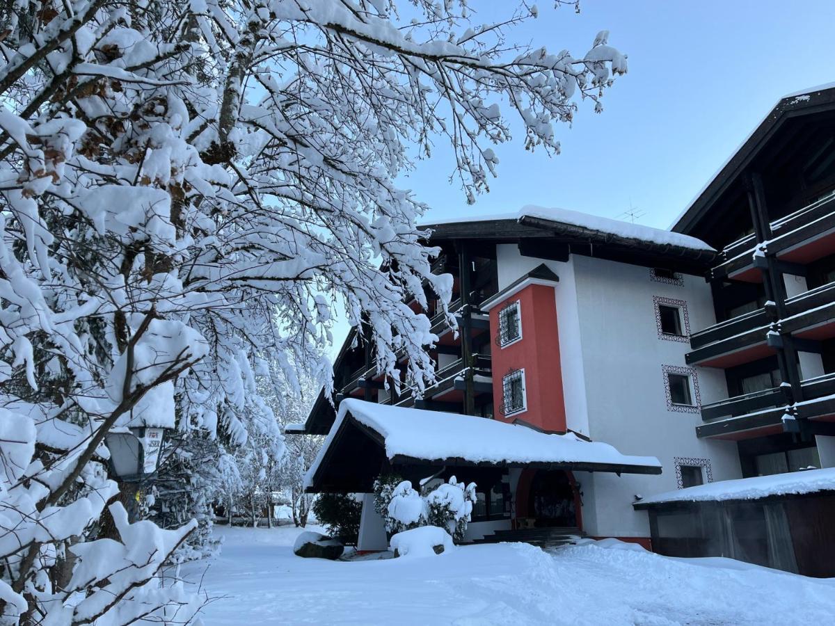B&B In Seefeld Seefeld in Tirol Eksteriør bilde